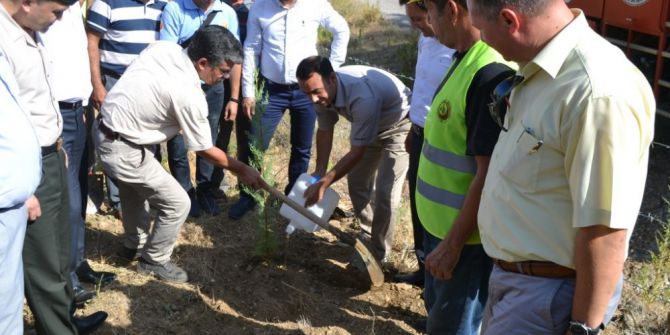 Bozyazı’da 15 Temmuz Şehitleri Anısına Hatıra Ormanı Oluşturuldu