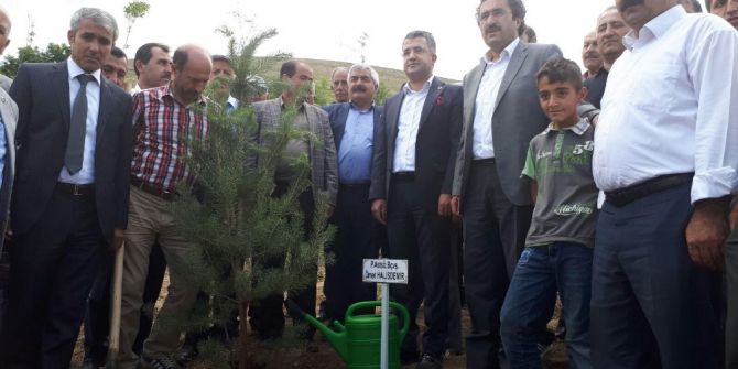 Gevaş’ta 249 Şehit Anısına 249 Fidan Dikildi