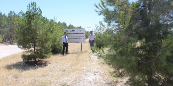 Adıyaman’da ‘81 İlde 81 Orman Projesi’ Amacına Ulaştı