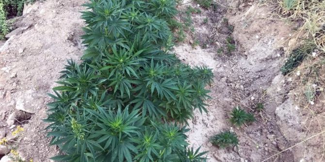 Kahramanmaraş’ta Uyuşturucu Operasyonu