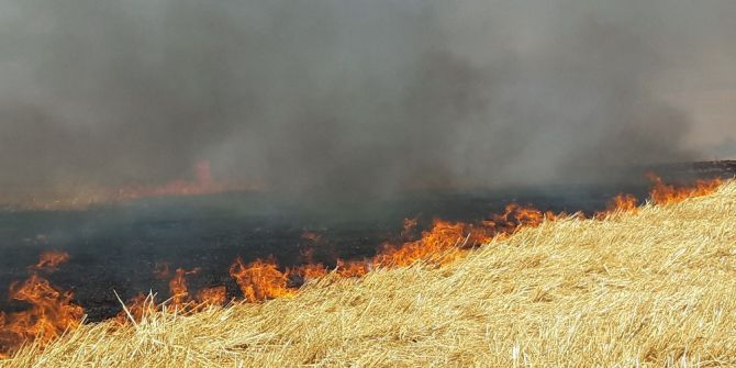 Hastaneye Sıçrama Tehlikesi Olan Anız Yangınına Yangın Tüpleriyle Müdahale Edildi