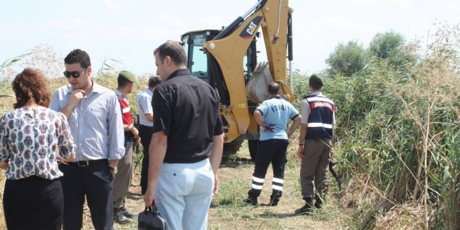 Caniliğin Bu Kadarı