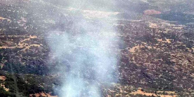 Bozdoğan’da 1 Hektar Makilik Alan Zarar Gördü