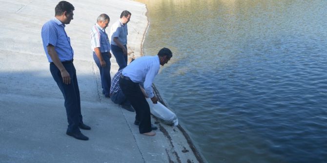Kula’da Gölete 5 Bin Balık Bırakıldı