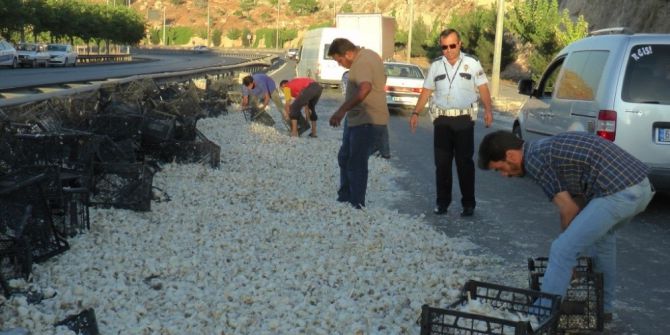 Devrilen Tırdaki Tonlarca Sarımsak Yola Döküldü