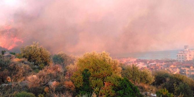 Ayvalık Orman Yangınında 3 Kişi Gözaltına Alındı