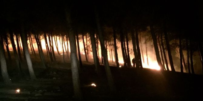 Kırıkhan’da Orman Yangını