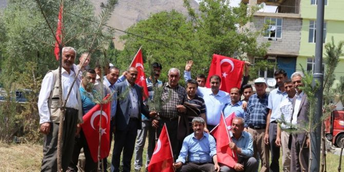 Bahçesaray’da 249 Şehit Anısına 249 Fidan Dikildi