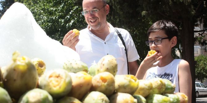 Yazın Devası Dikenli İncir Sezonu Açıldı