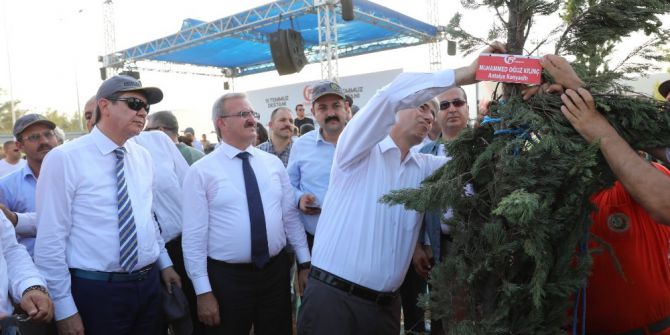 15 Temmuz Şehitlerinin İsmi Hatıra Ormanıyla Yaşatılıyor