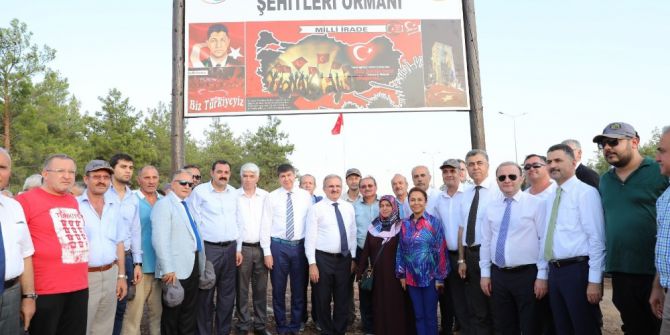 15 Temmuz Şehitlerinin İsmi Hatıra Ormanıyla Yaşatılıyor