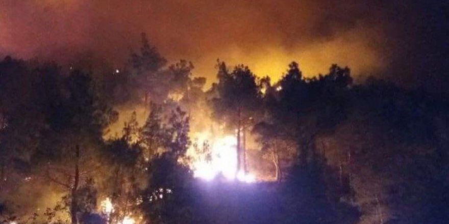 Çorum’da 55 Hektar Orman Yandı