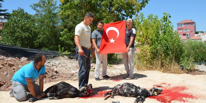 15 Temmuz Şehitleri İçin Kurban Kesildi
