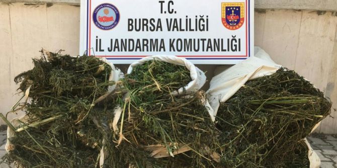 Piyasa Değeri 450 Bin Liralık Uyuşturucu Ele Geçirildi