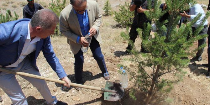 15 Temmuz Şehidinin Adı Hatıra Ormanında Yaşatılacak