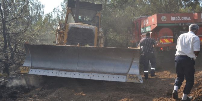 İnegöl’de Orman Yangını