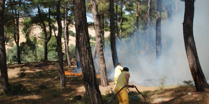 Bayramiç’te Orman Yangını