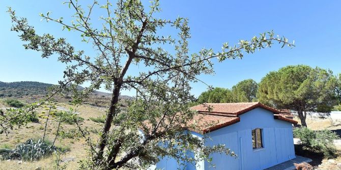 İzmir’de Doğal Yaşam Köyü Kurulacak