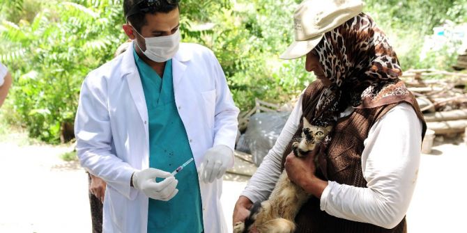 Mamak’ta 500 Evcil Hayvan Aşılandı