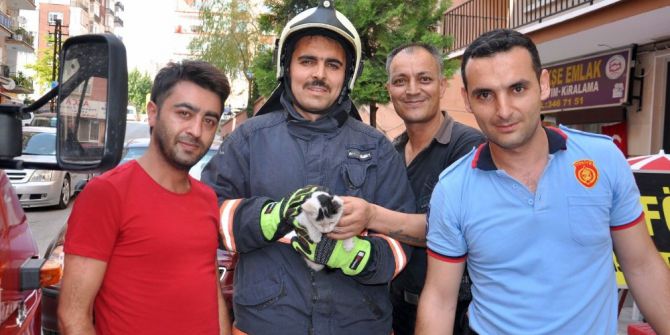 Yavru Kedi İtfaiye Ekiplerince Kurtarıldı