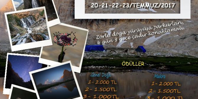 Foto-safari Başlıyor