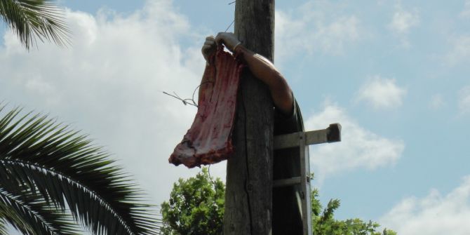 6 Metrelik Direğe Asılı Olan Eti Alan Kaplan Vatandaşlara Şov Yaptı