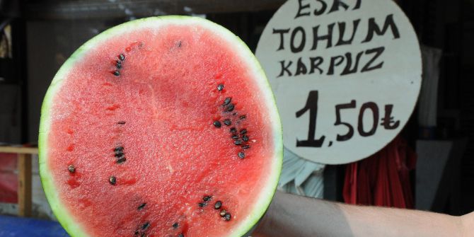 Eski Tohumlardan ’Gdo’suz Karpuz’