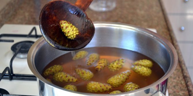 Ev Hanımları Cevizden Sonra Organik Çam Kozalağı Reçeli Üretimine Başladı