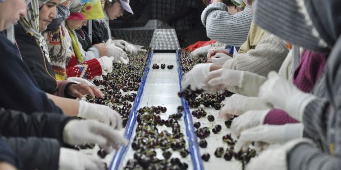 Kahramanmaraş’tan Avrupa’ya Kiraz İhracatı