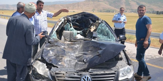 İneğe Çarpan Araçtaki 3 Kişi Yaralandı