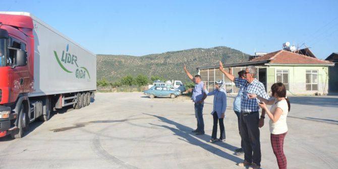 Çameli Domatesi Arabistan’a Gitmek İçin Yola Çıktı