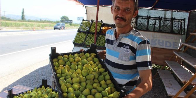 Ziraat Odası’ndan ‘Erkenci İncir’ Uyarısı