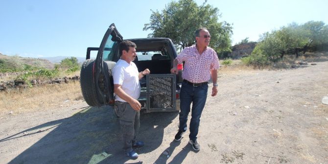 Tedavisi Tamamlanan Kartal Özgürlüğüne Kanat Açtı