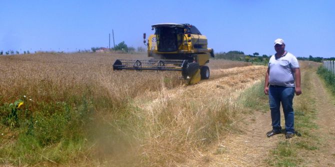 Bilecik’te Buğday Hasadı Başladı