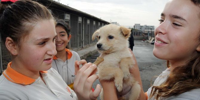 Büyükşehir’den Sertifikalı Pet Shop Eğitimi