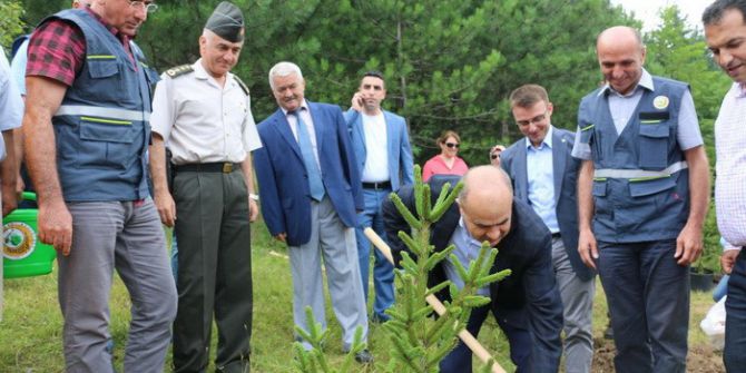 Düzce’de 15 Temmuz Demokrasi Şehitleri Adına Hatıra Ormanı Kuruldu