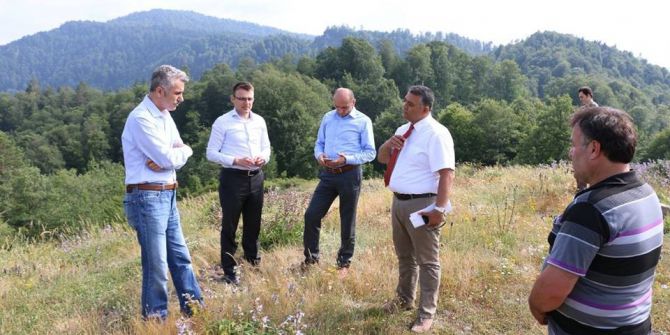 Yığılca’da Balköy Bal Üretim Ormanı Kuruluyor