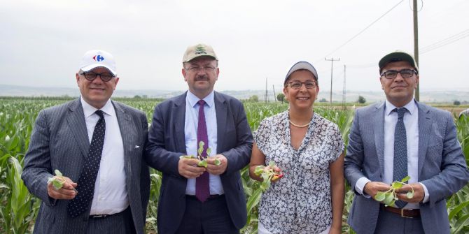 Yerli Tohumla Küçük Üretici Destekleniyor, Ürün Fiyatları İndiriliyor