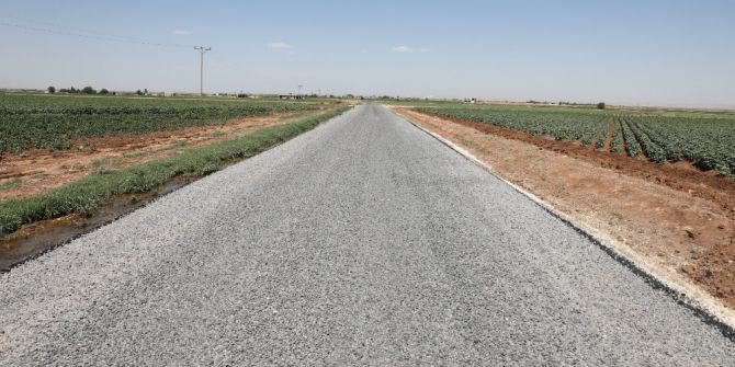 Çiftçi, Kırsaldaki Çalışmaları Yerinde İnceledi