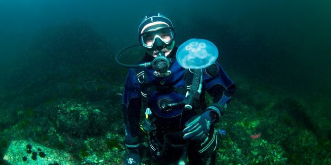 Resifler Balık Popülasyonunu Arttırdı