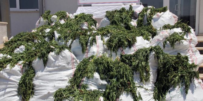 Kargılar İçine Esrar Gizlemişler