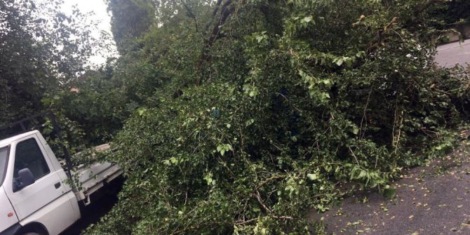 Beykoz Belediyesi Ekipleri Yağmura Karşı Sahada