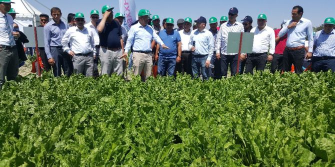 Kayseri Şeker’den Şeker Sektöründe İlk Demonstrasyon Günü Uygulaması