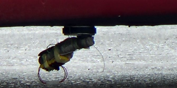 Zonguldak’ta Bombalı Araç Paniği