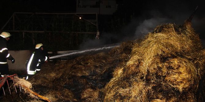 Kocaeli’de Ot Yangını Korkuttu