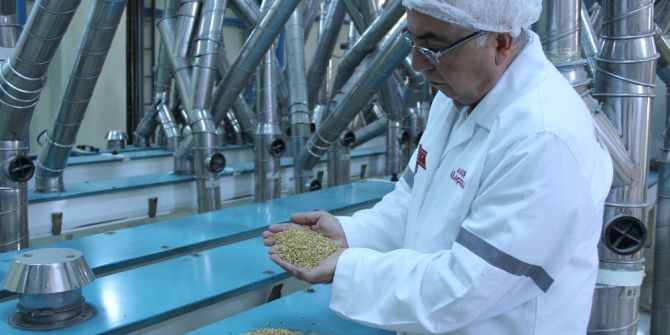 Türkiye, Makarnalık Durum Buğdayı Üretiminde Dünyanın Dördüncü Büyük Ülkesi