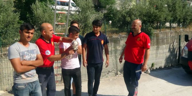 İtfaiyeden Tavuk Kurtarma Operasyonu