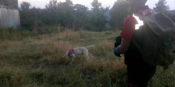 Kastamonu’da 10 Günde İki Alzheimer Hastası Kayboldu