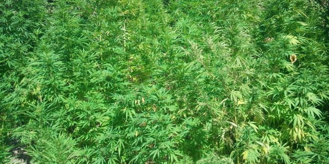 Söke’de Uyuşturucuyla Mücadele Devam Ediyor