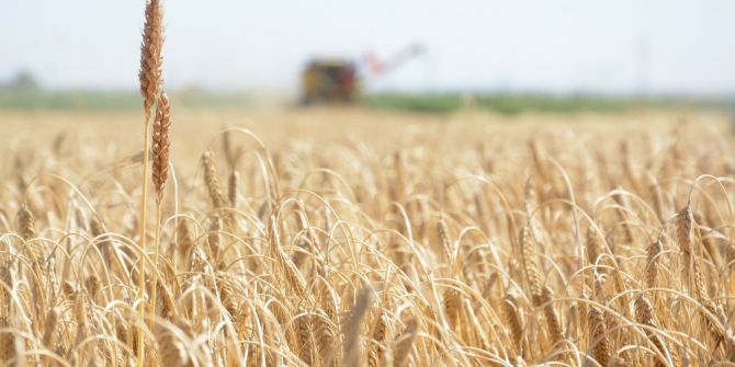 Gıda Üretiminin Sürdürülebilirliği İçin Köyden Kente Göç Önlenmeli